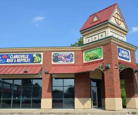 Clarksville Reef & Reptiles
