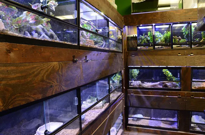 Clarksville Reef & Reptiles Picture 7