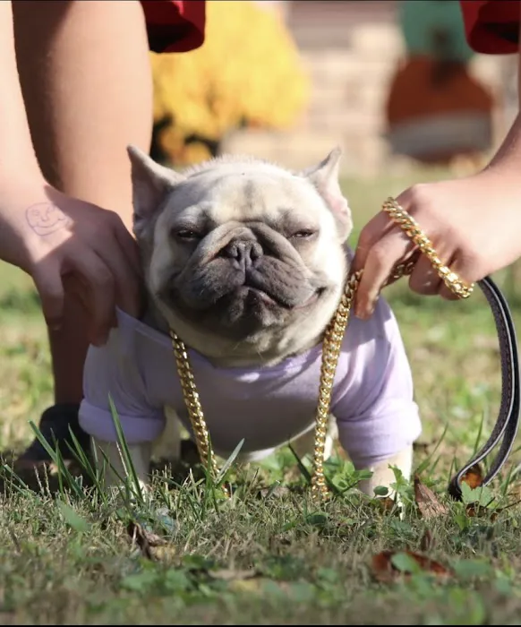 Xotic Pet Supplies Picture 2