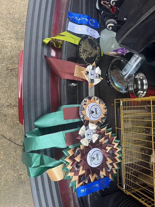 Xotic Pet Supplies Picture 6