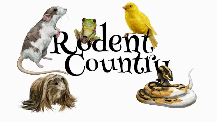 Rodent Country Pets Picture 3
