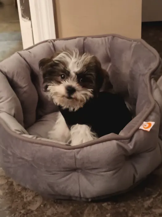 J & M Pet Land Picture 2