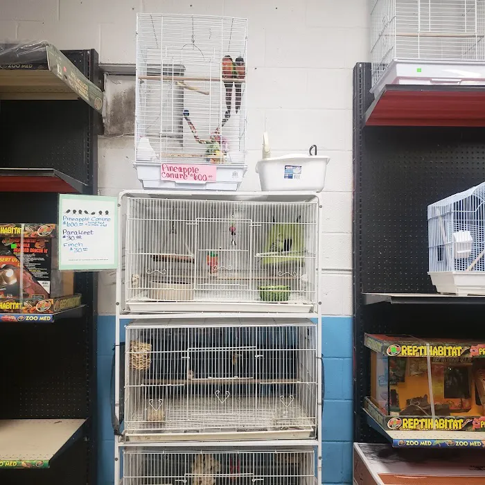 J & M Pet Land Picture 10