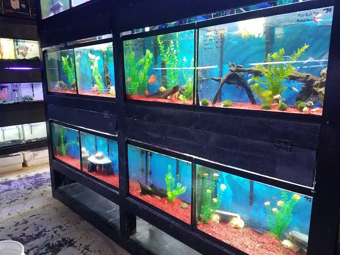 J & M Pet Land Picture 6