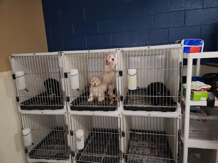 J & M Pet Land Picture 3