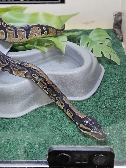J & M Pet Land Picture 8