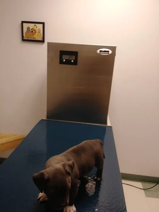 Newark Veterinary Hospital Picture 1