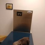Newark Veterinary Hospital