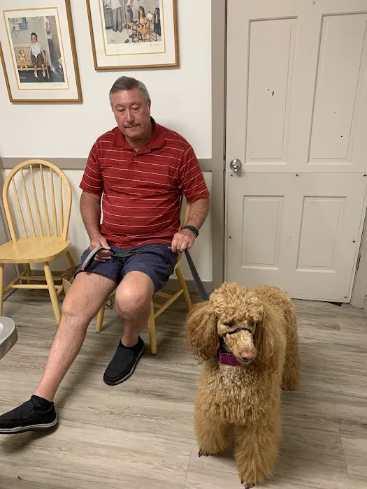Beaver Lake Animal Hospital Picture 5