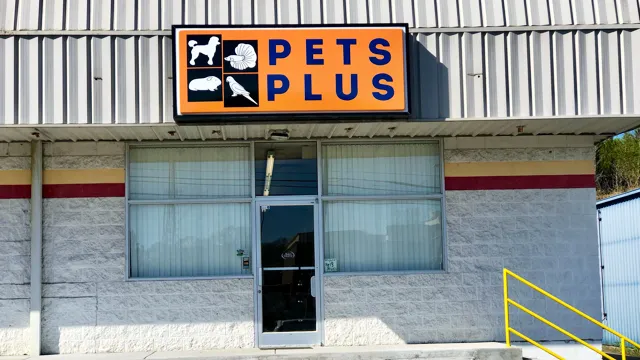 Pets Plus Picture 7