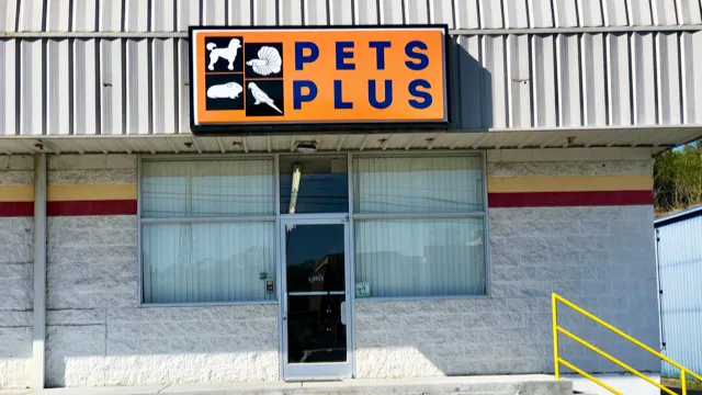 Pets Plus Picture 4