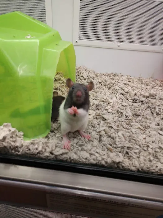 Petco Picture 3
