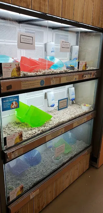 Petco Picture 5