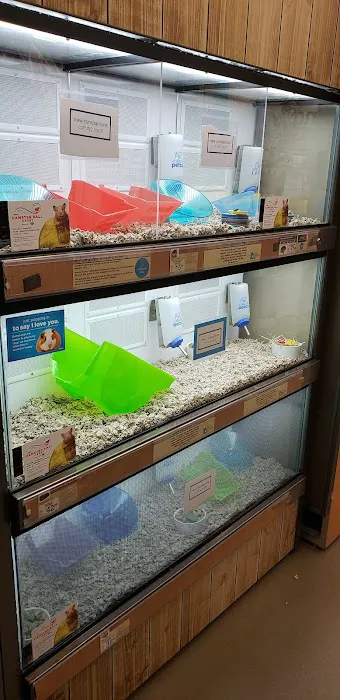 Petco Picture 4