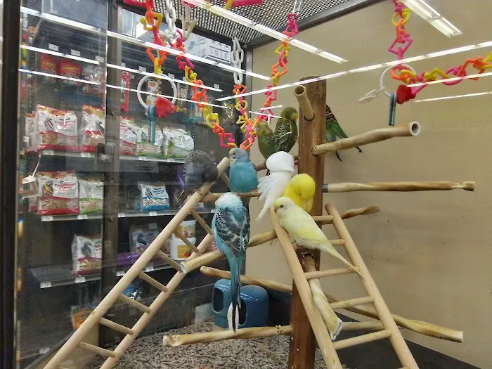 Petco Picture 6