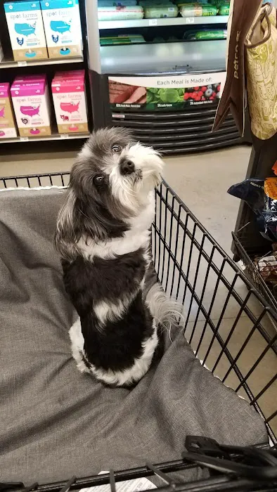 Petco Picture 10