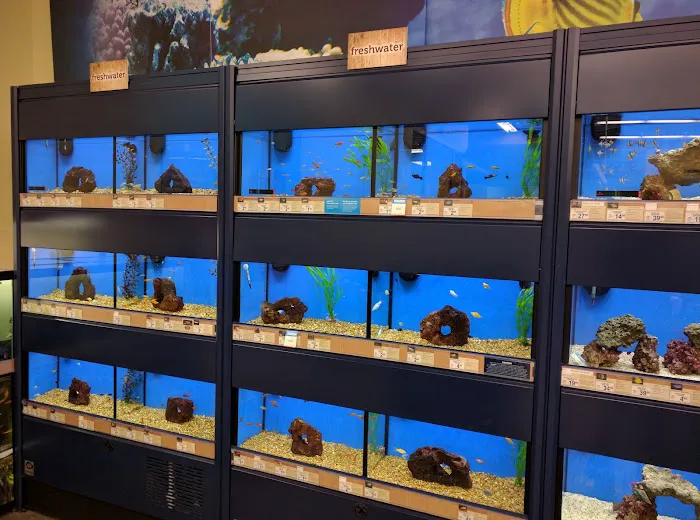 Petco Picture 8