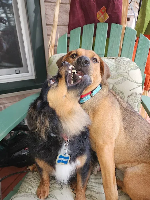 Corinth Veterinary Clinic Picture 1