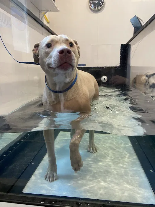 Greenfield Animal Hospital Picture 6
