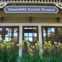 Greenfield Animal Hospital ico