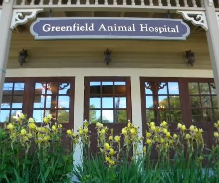 Greenfield Animal Hospital