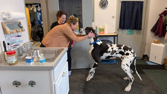 Greenfield Animal Hospital Picture 8