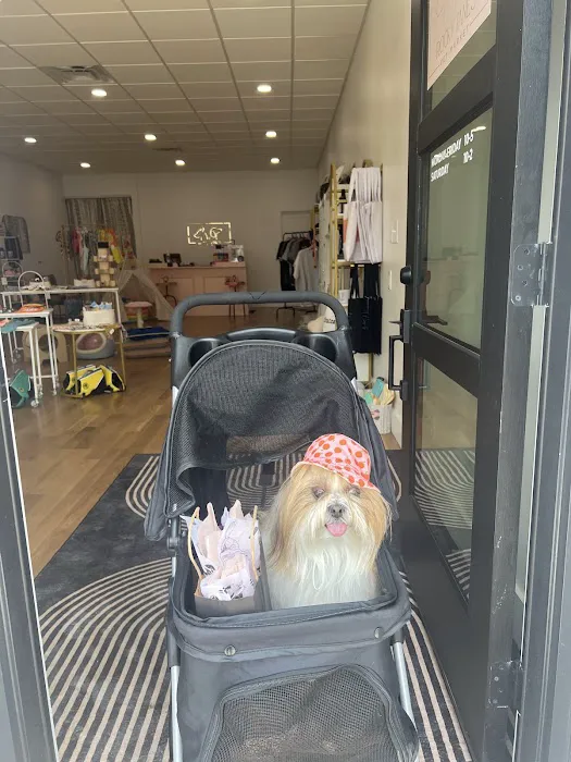 Rocky Jane's Pet Market Picture 1