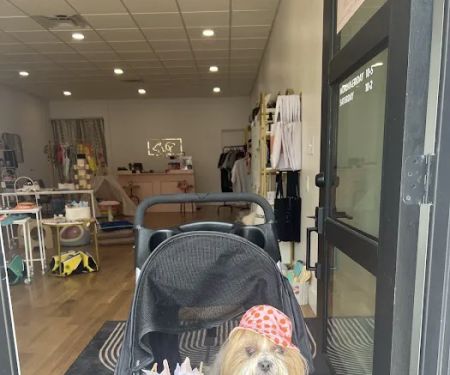 Rocky Jane's Pet Market
