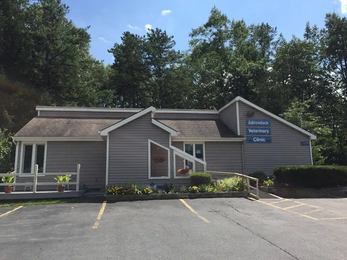 Adirondack Veterinary Clinic Picture 3