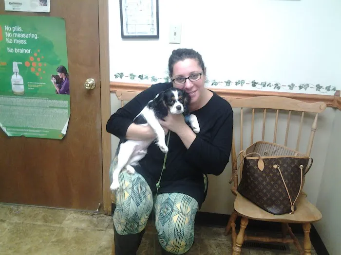 Adirondack Veterinary Clinic Picture 10