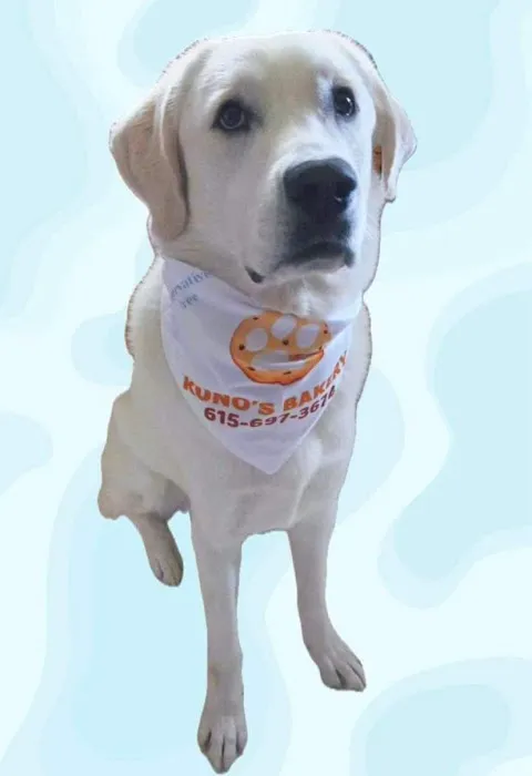 Kuno's Bakery Picture 2