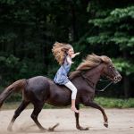 North East Performance Equine