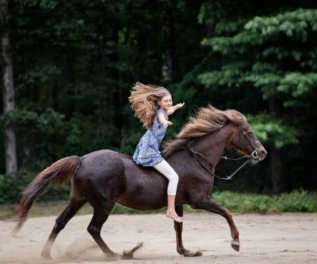 North East Performance Equine