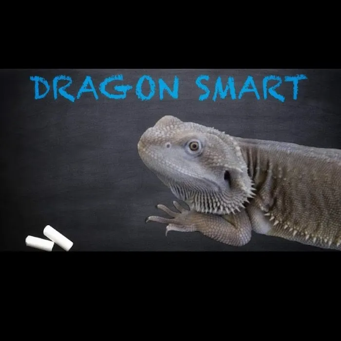 Dragon Smart Picture 9