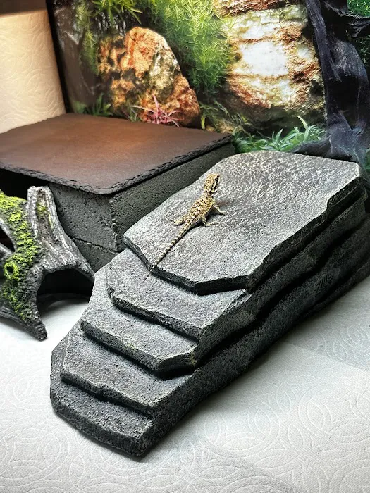Dragon Smart Picture 10