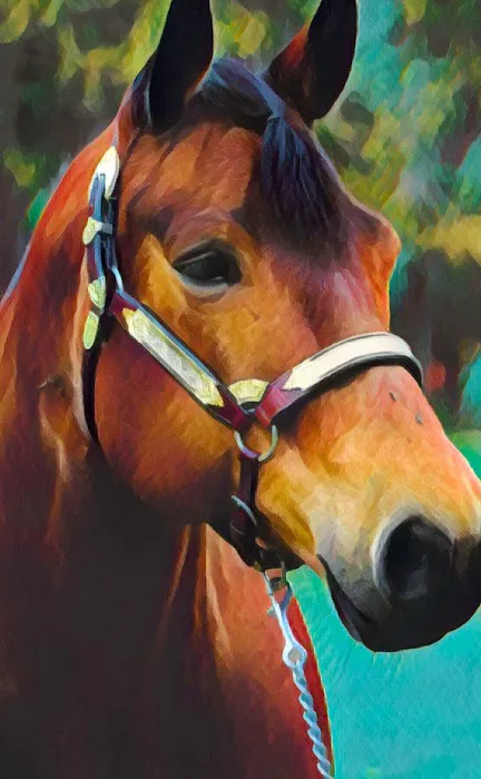 Saratoga Horse RX Picture 1