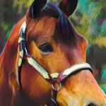Saratoga Horse RX