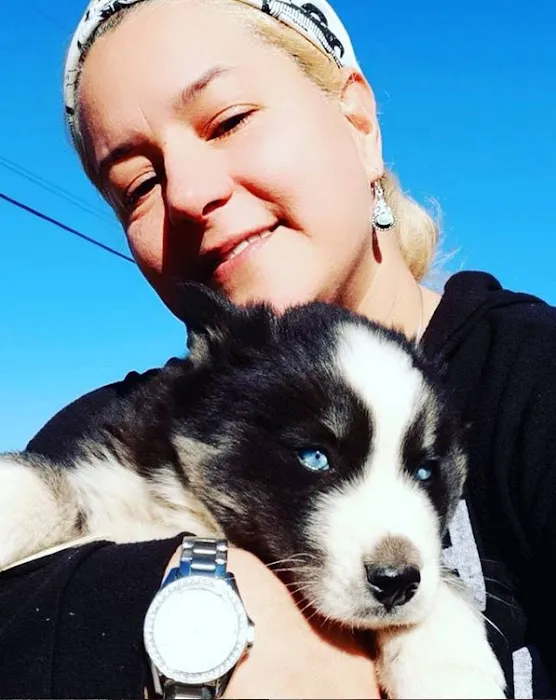 J&J Silver Husky Farm Picture 4