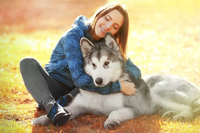 J&J Silver Husky Farm Picture 1