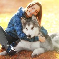 J&J Silver Husky Farm ico