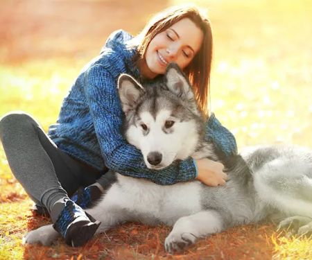 J&J Silver Husky Farm