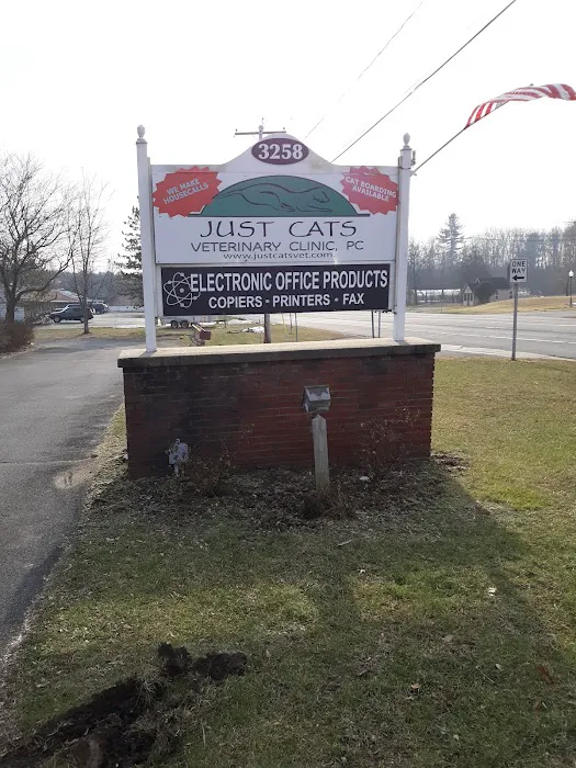 Just Cats Vet Picture 6