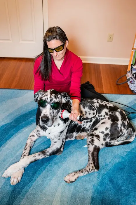 Animal Wellness Veterinary Services LLC Picture 1