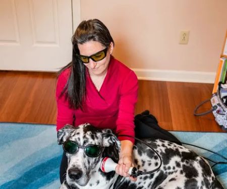 Animal Wellness Veterinary Services LLC
