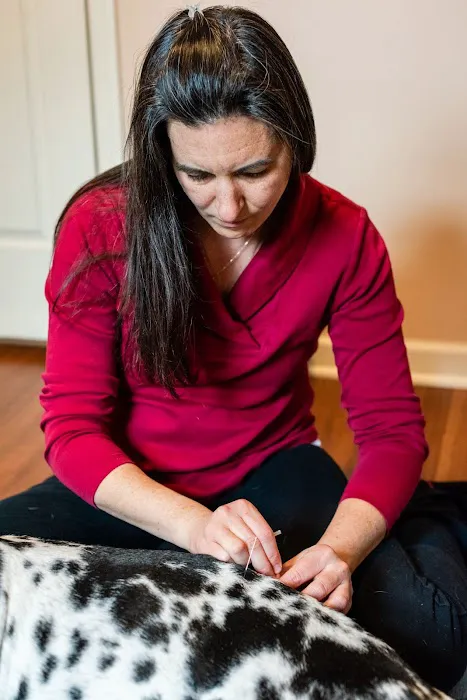Animal Wellness Veterinary Services LLC Picture 8