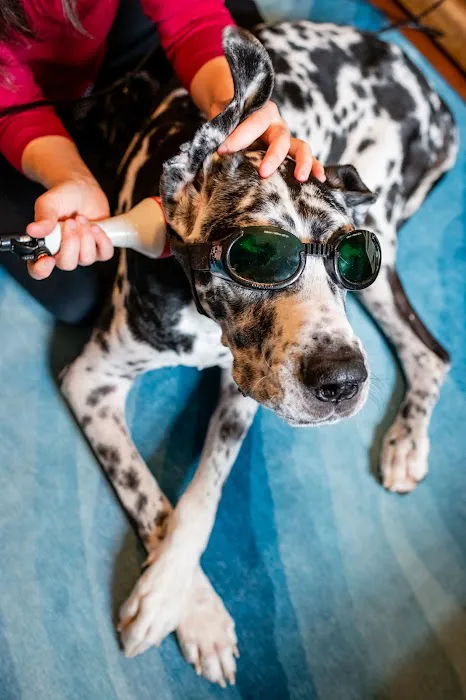 Animal Wellness Veterinary Services LLC Picture 5