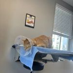 Cornerstone Veterinary Hospital of Saratoga Springs
