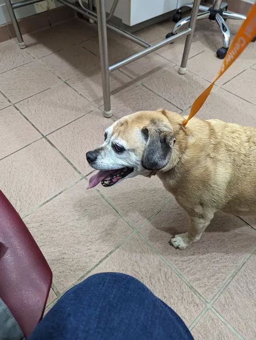 Upstate Animal Medical Center Picture 5