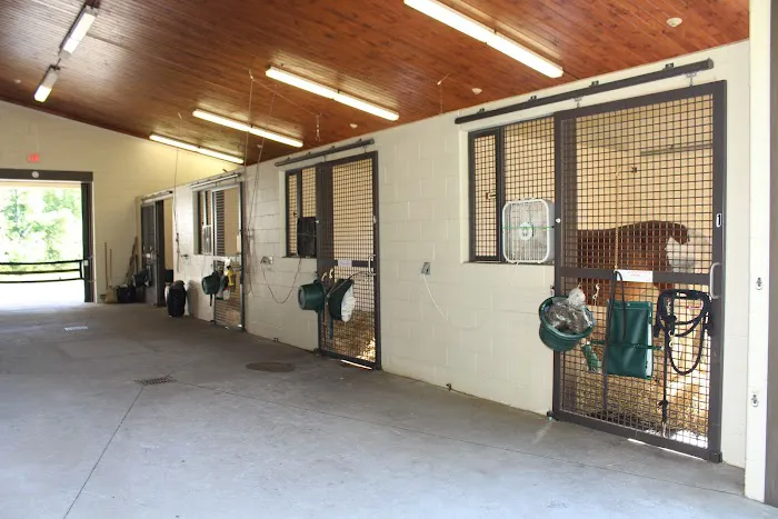 Rood & Riddle Equine Hospital in Saratoga Picture 6