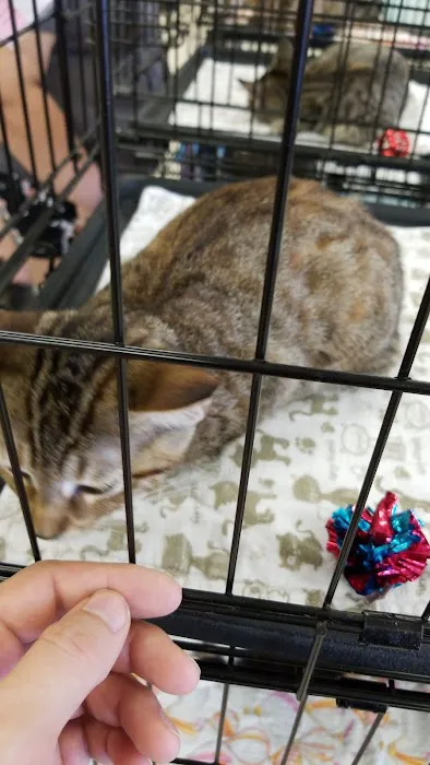 Petco Picture 9